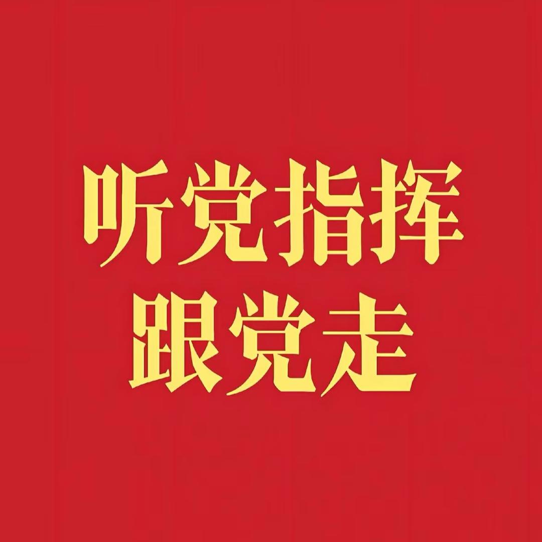 鲨鱼王