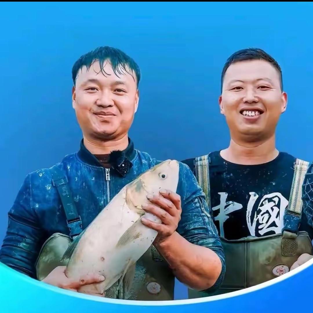 大表哥🐟