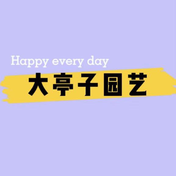 大亭子园艺