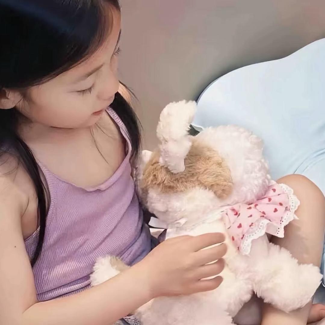 小猫.