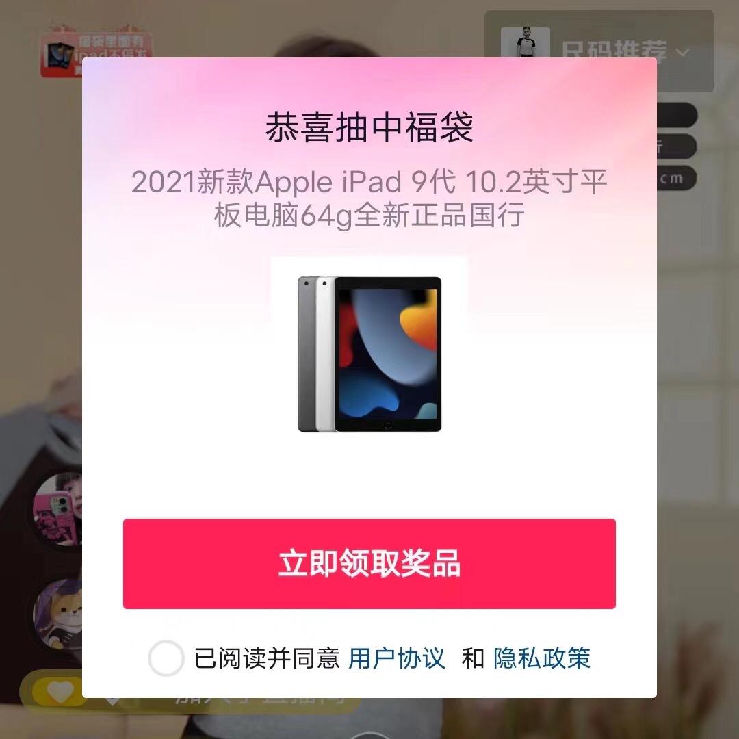 小语🐰🐯