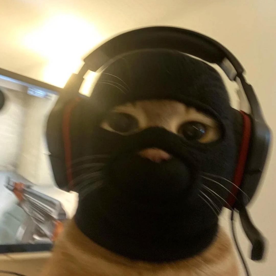 她说风会传达的