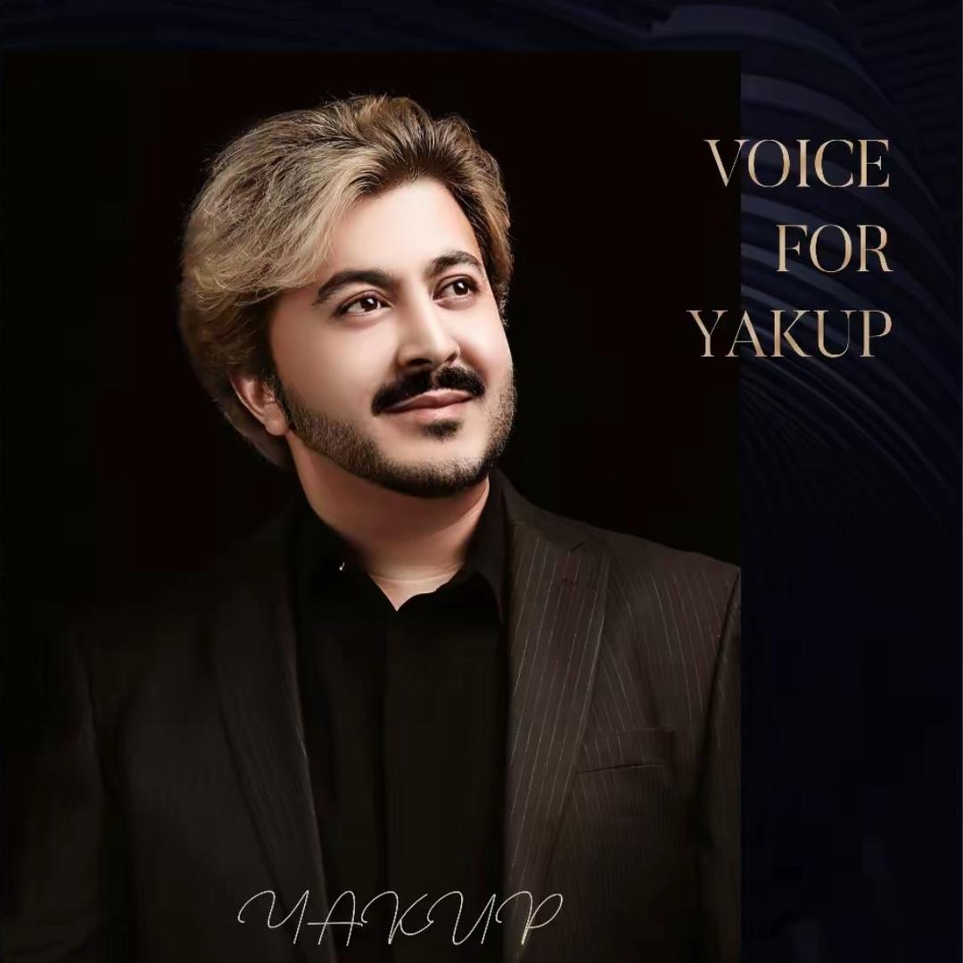 YAKUP 老师   （好物分享）