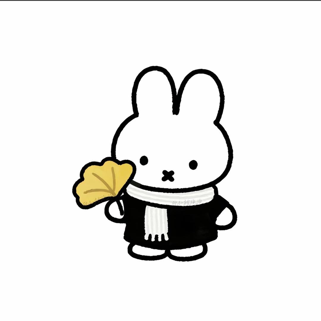 佳琪