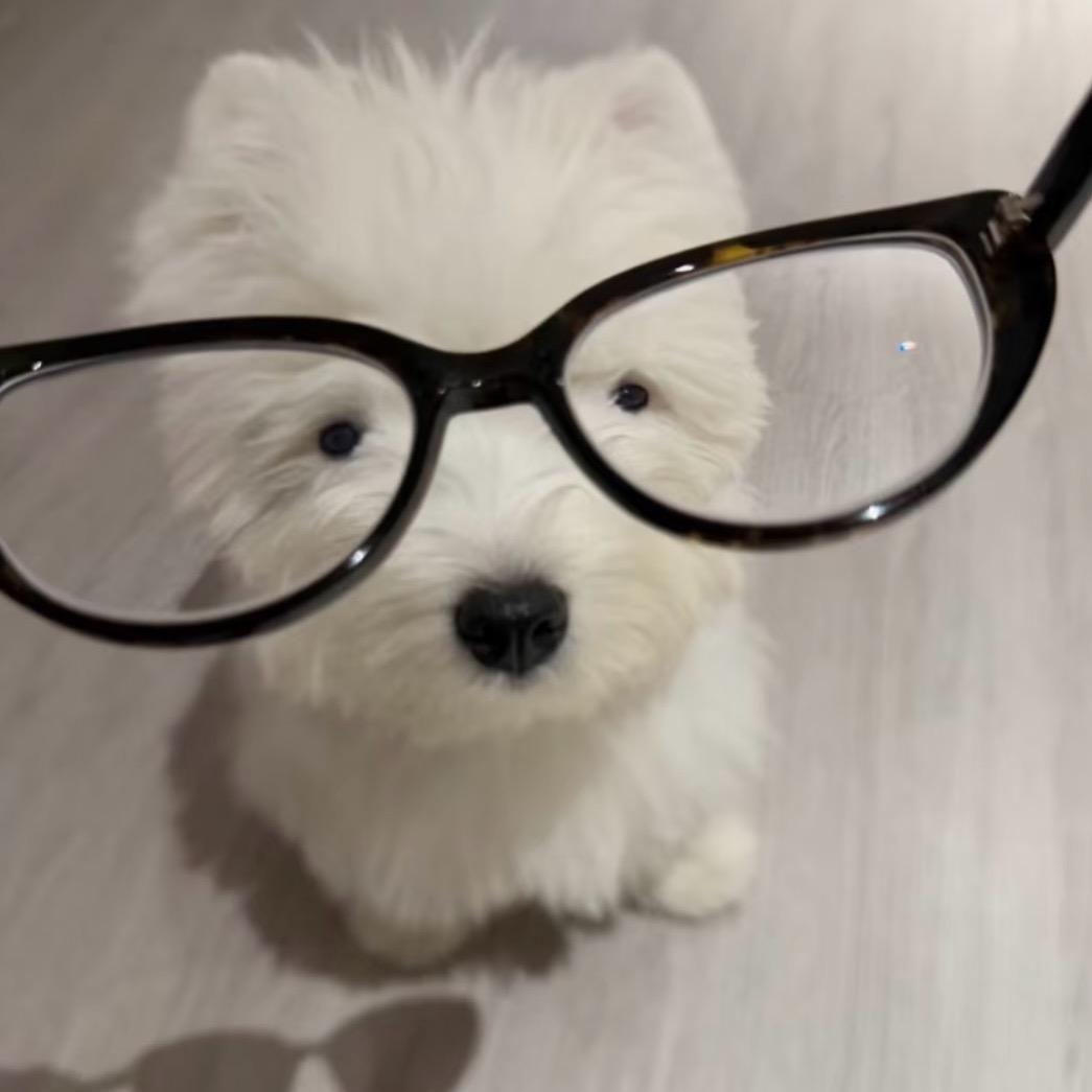 扶老奶奶闯红灯