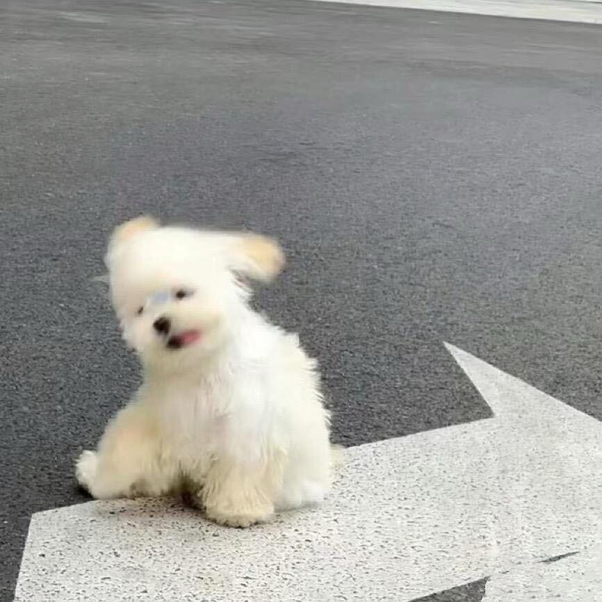 一口锅包幼