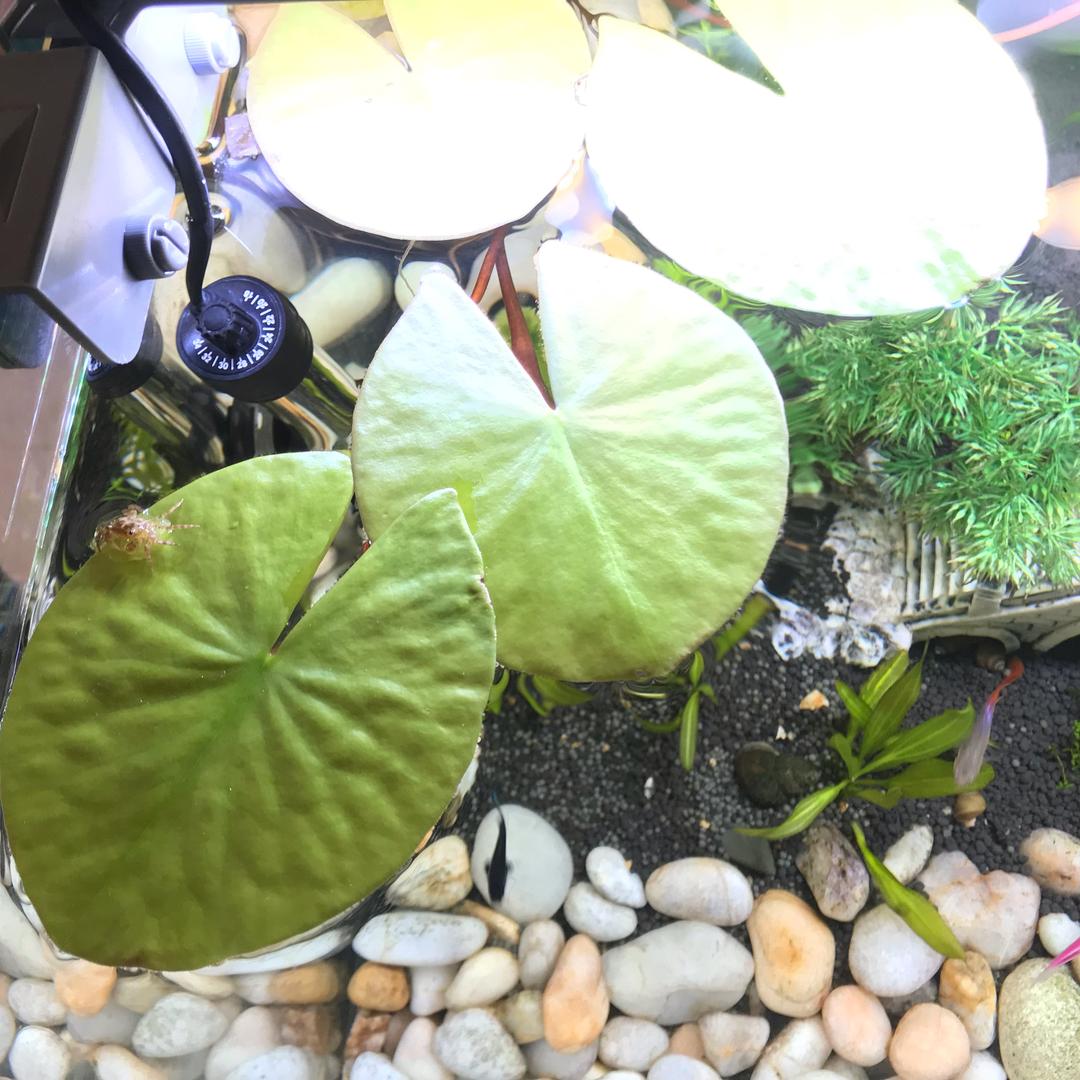 浩名的快乐生活