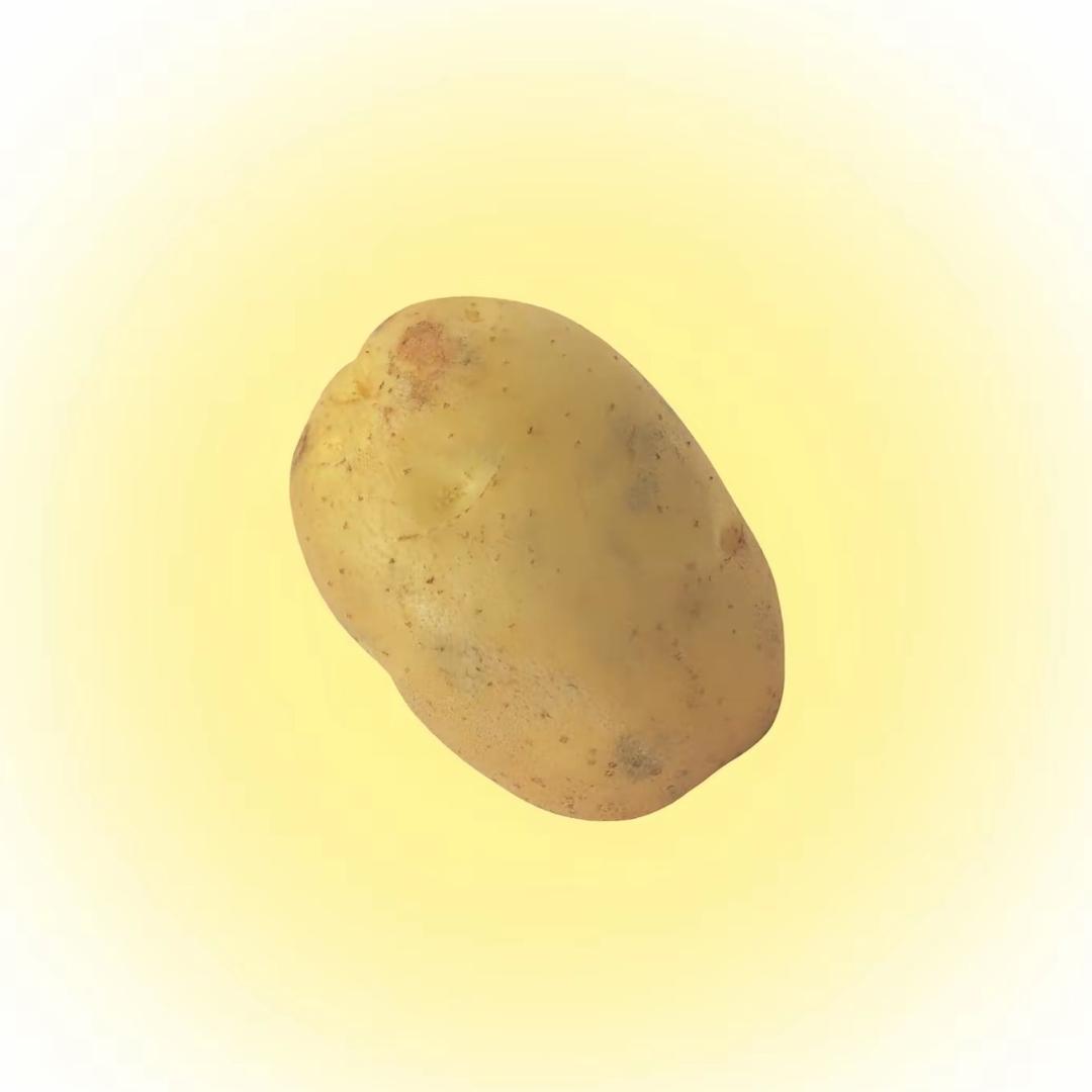 暴躁大土豆🥔