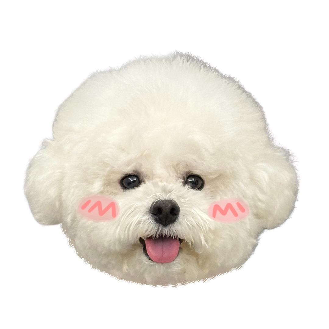 我是卢卡大王呀