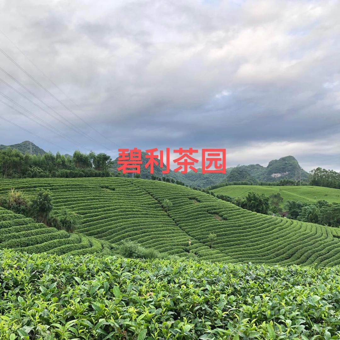 英德市碧利生态农业发展有限公司