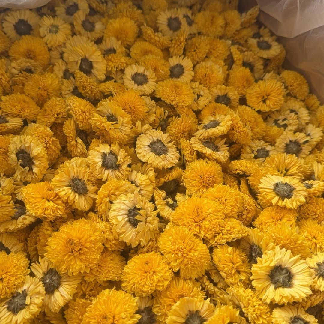 @宫关夫妻的皇菊铺