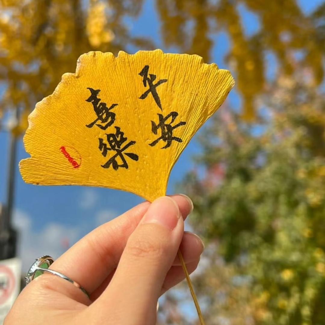 🍅柿柿顺利