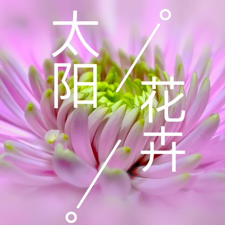 太阳花卉园艺