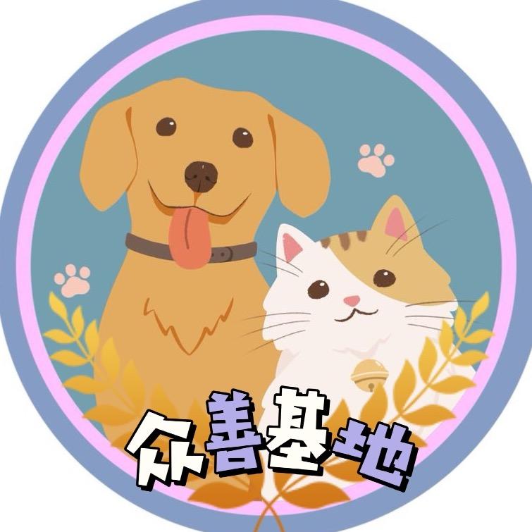 众善墨染妈妈（基地困难版）