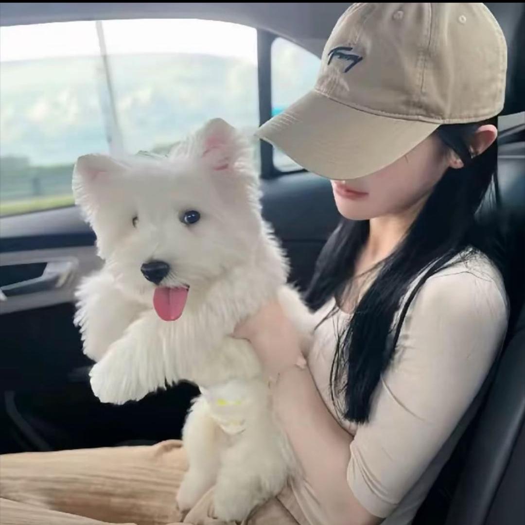 小呆^