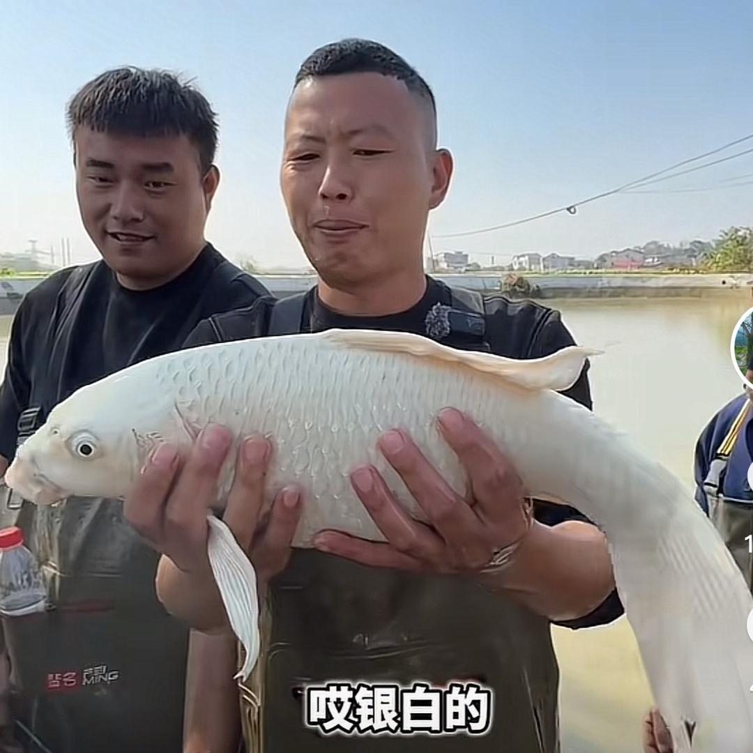 大表哥捕鱼达人