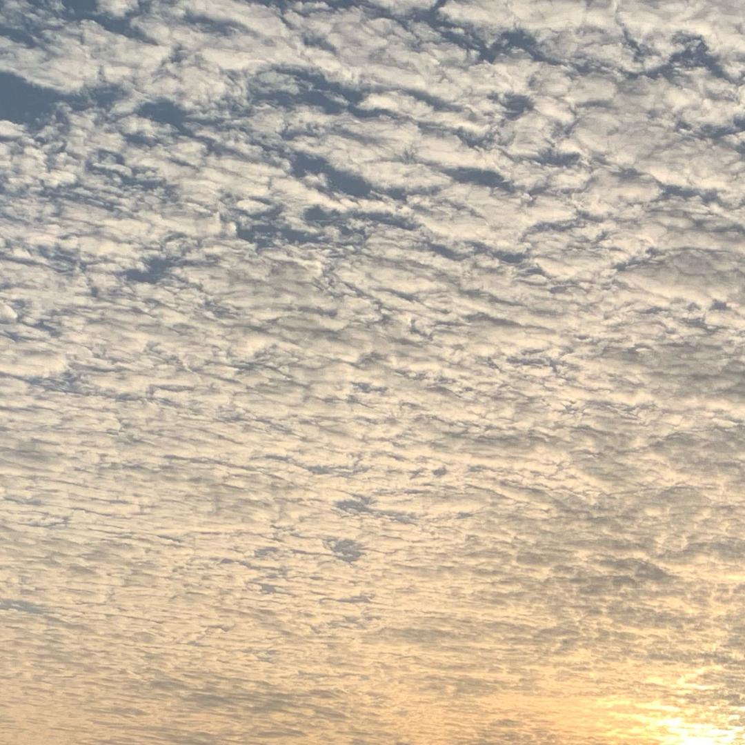☁️破月来