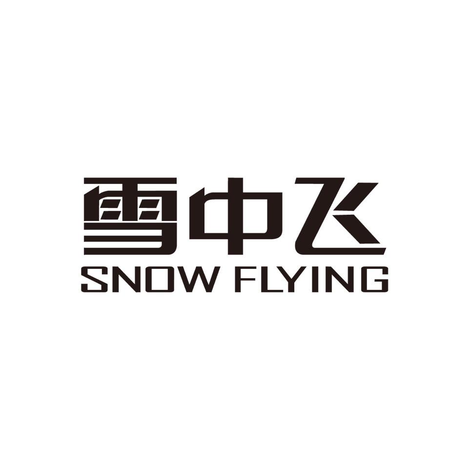 雪中飞羽之雅专卖店