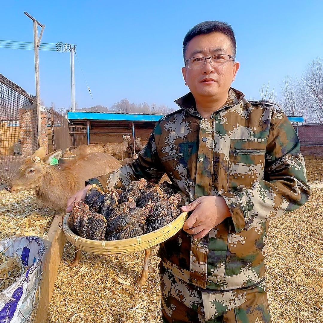 九州食仆女仕滋补