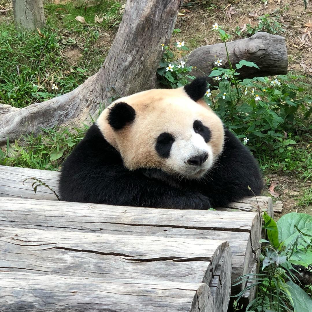 水的声音