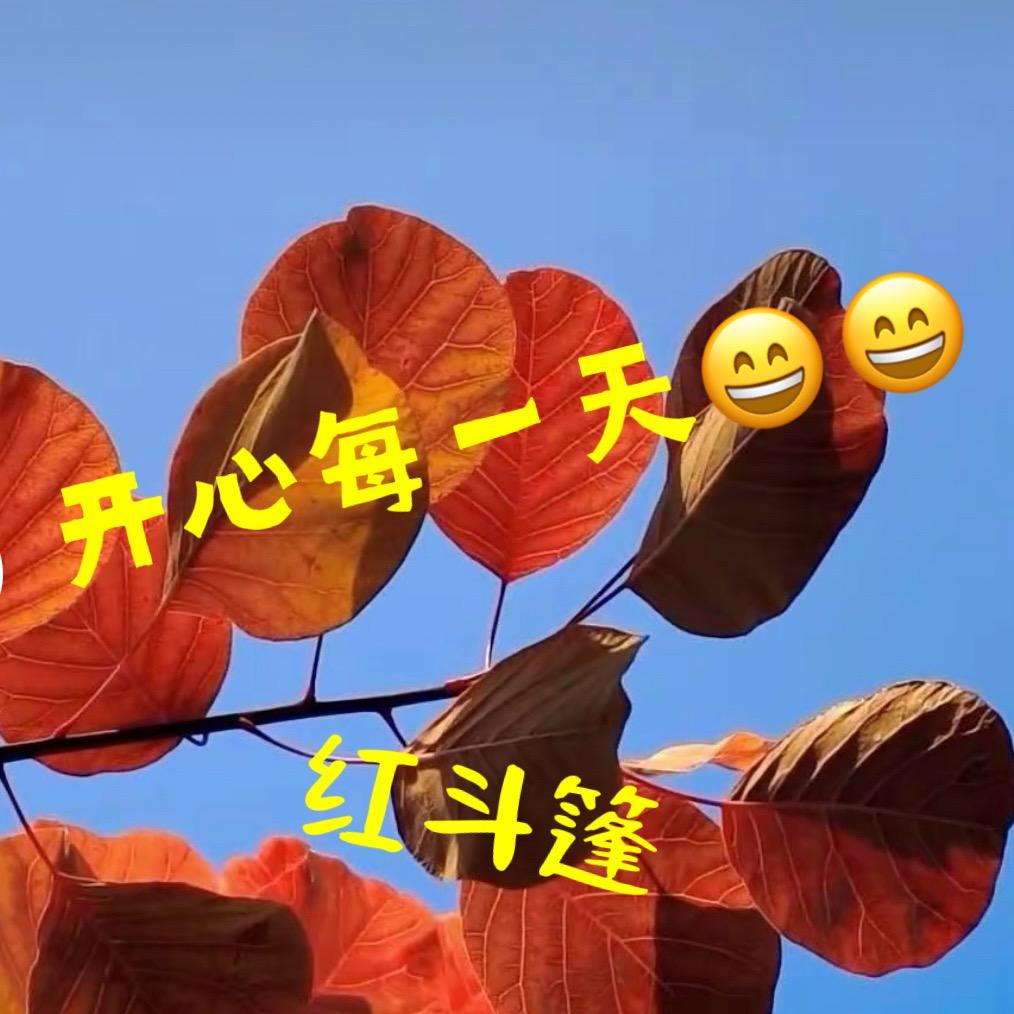 红斗篷