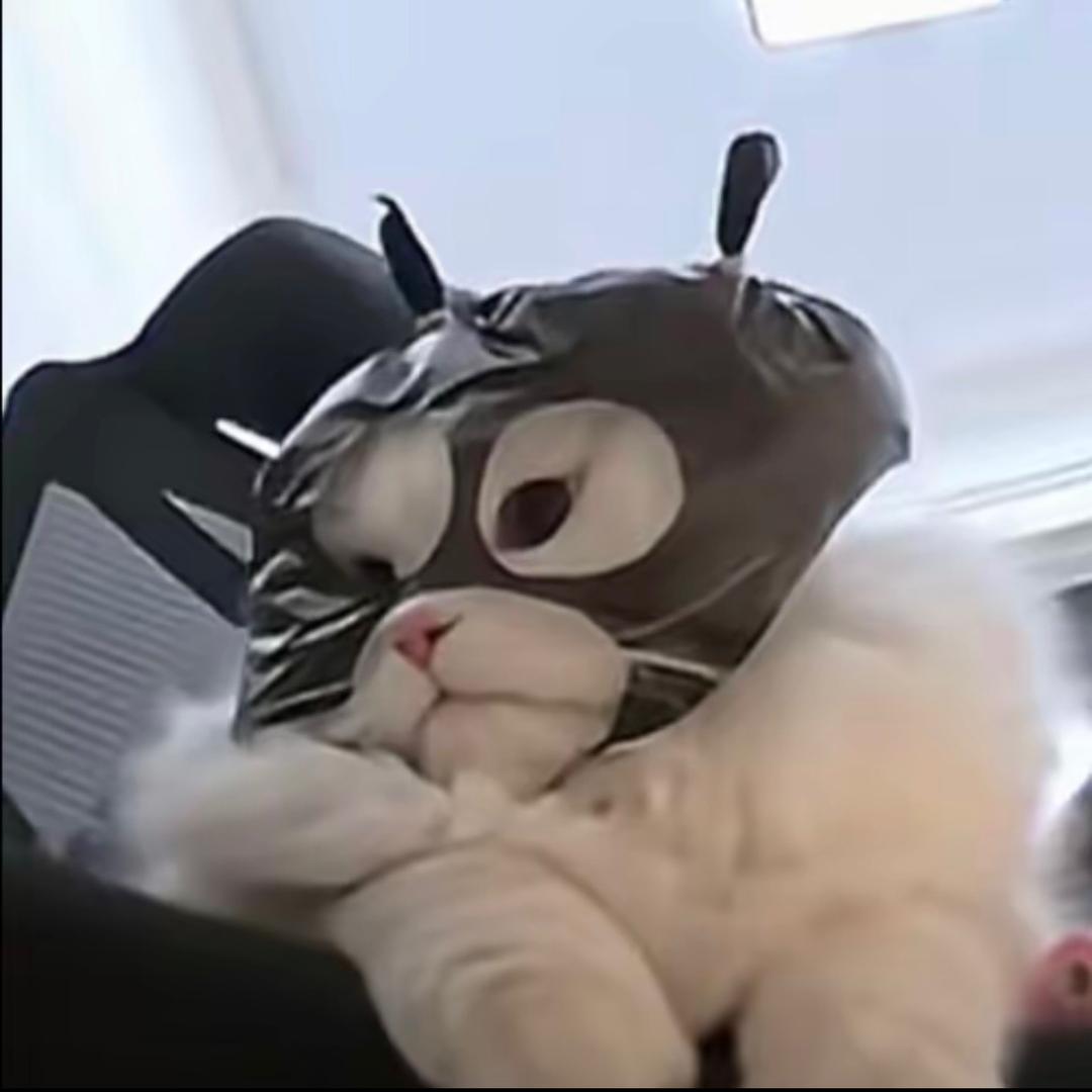 再睡五分钟就好💤