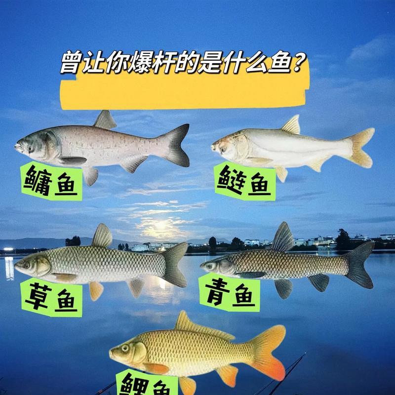 楚雄大闸坝&福源钓场