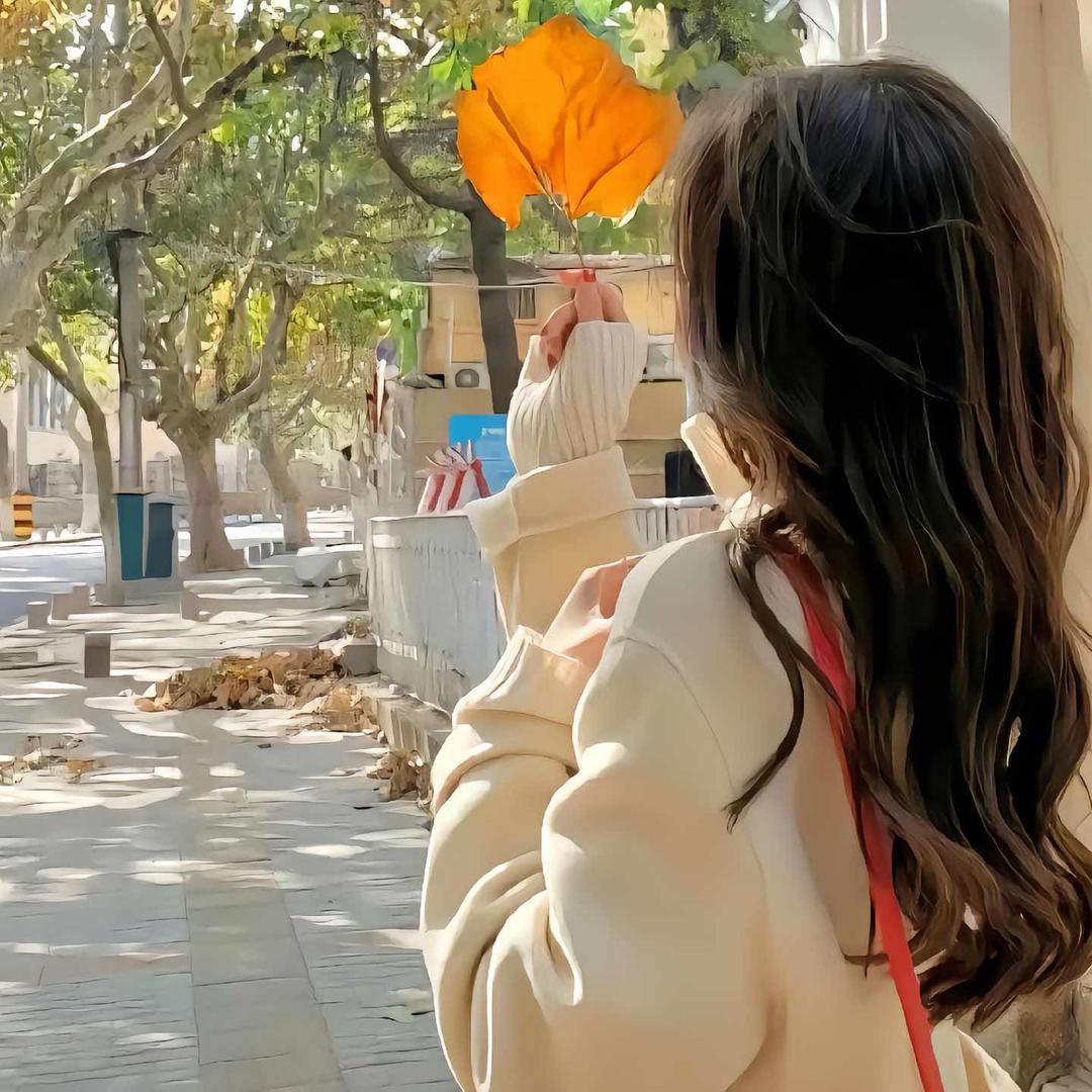 枯枝上的黑乌鸦 🍂