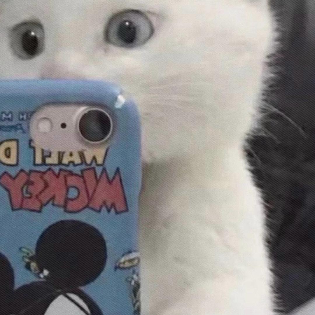 丨