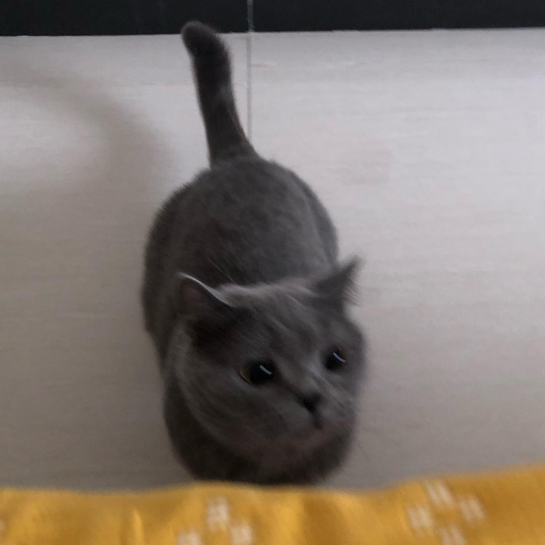 Nuo.