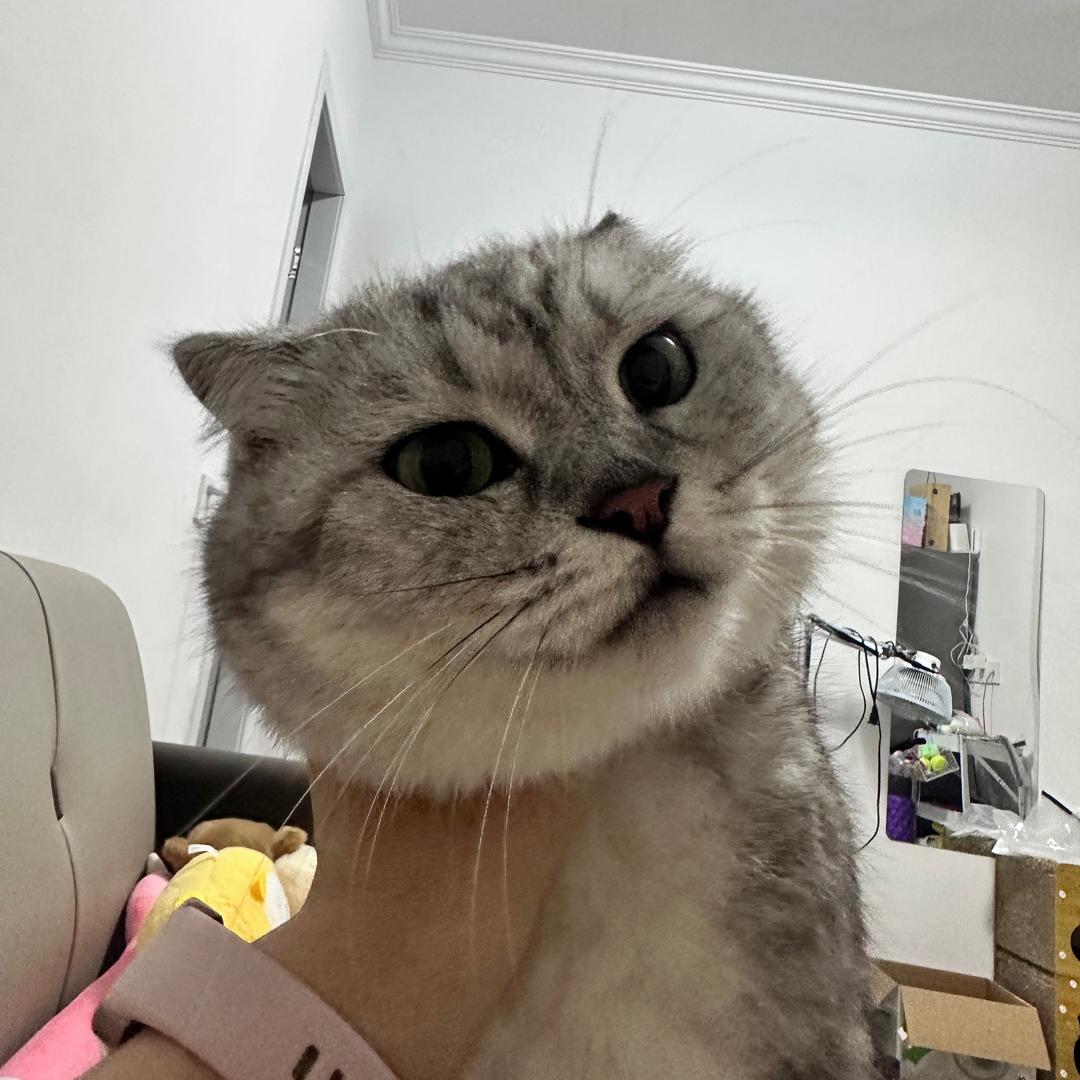 一坨冰淇淋