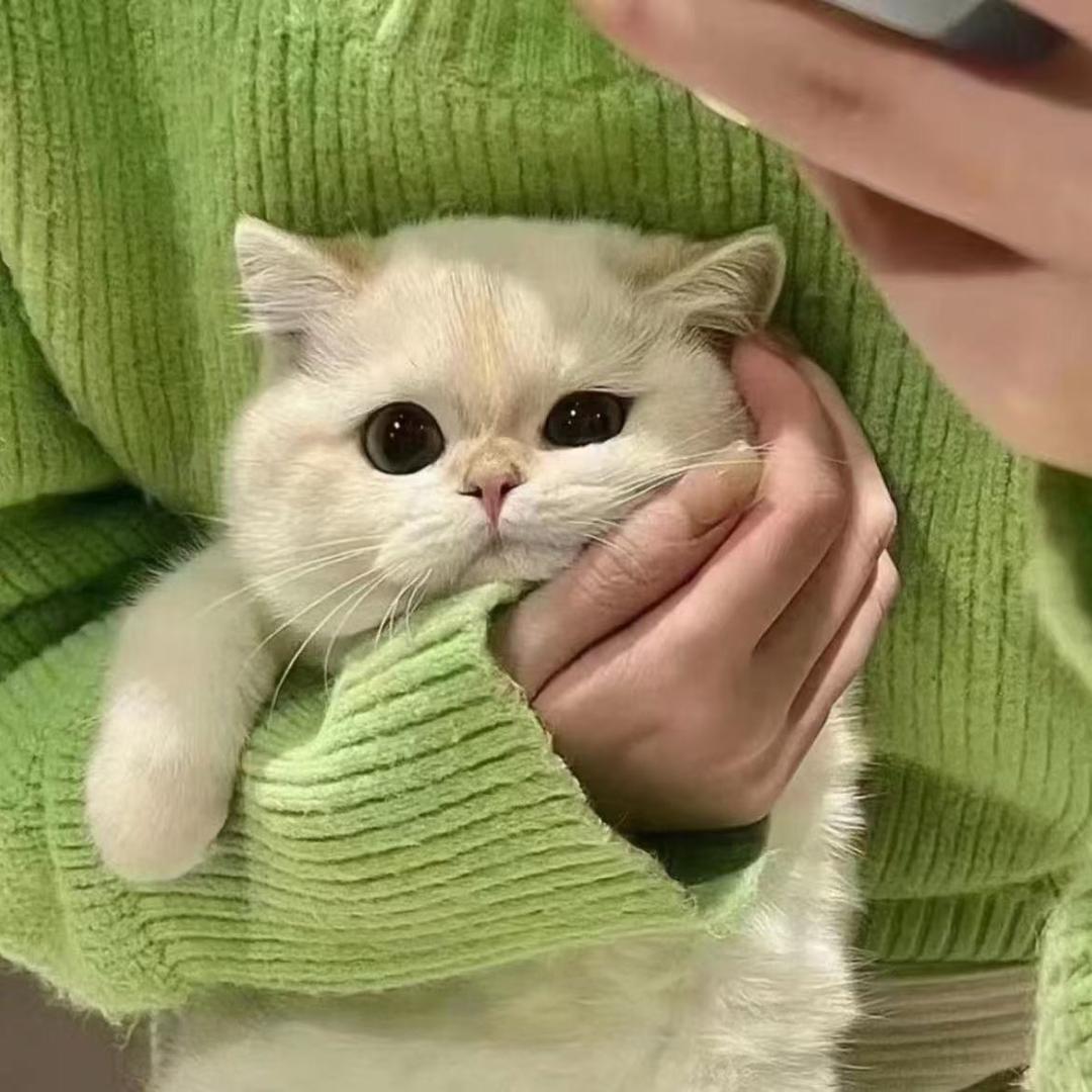 香菜统治全世界