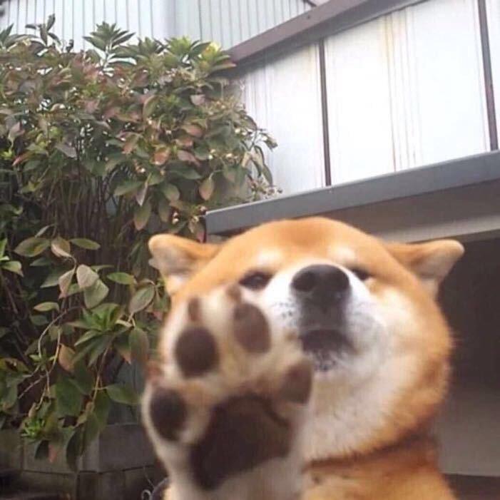 皮肤专场B