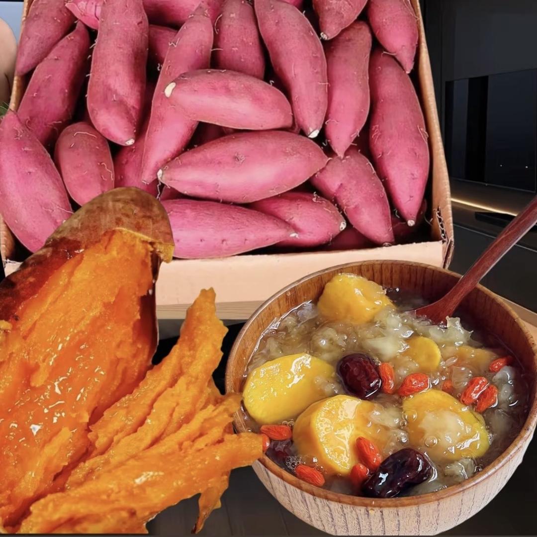 高山西瓜红蜜薯