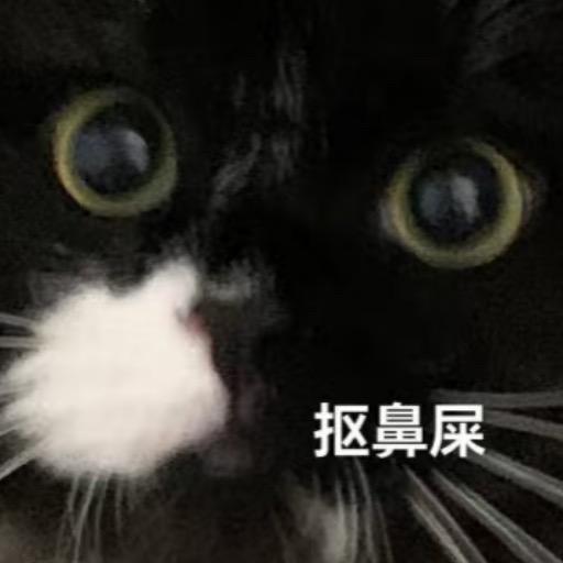 K子