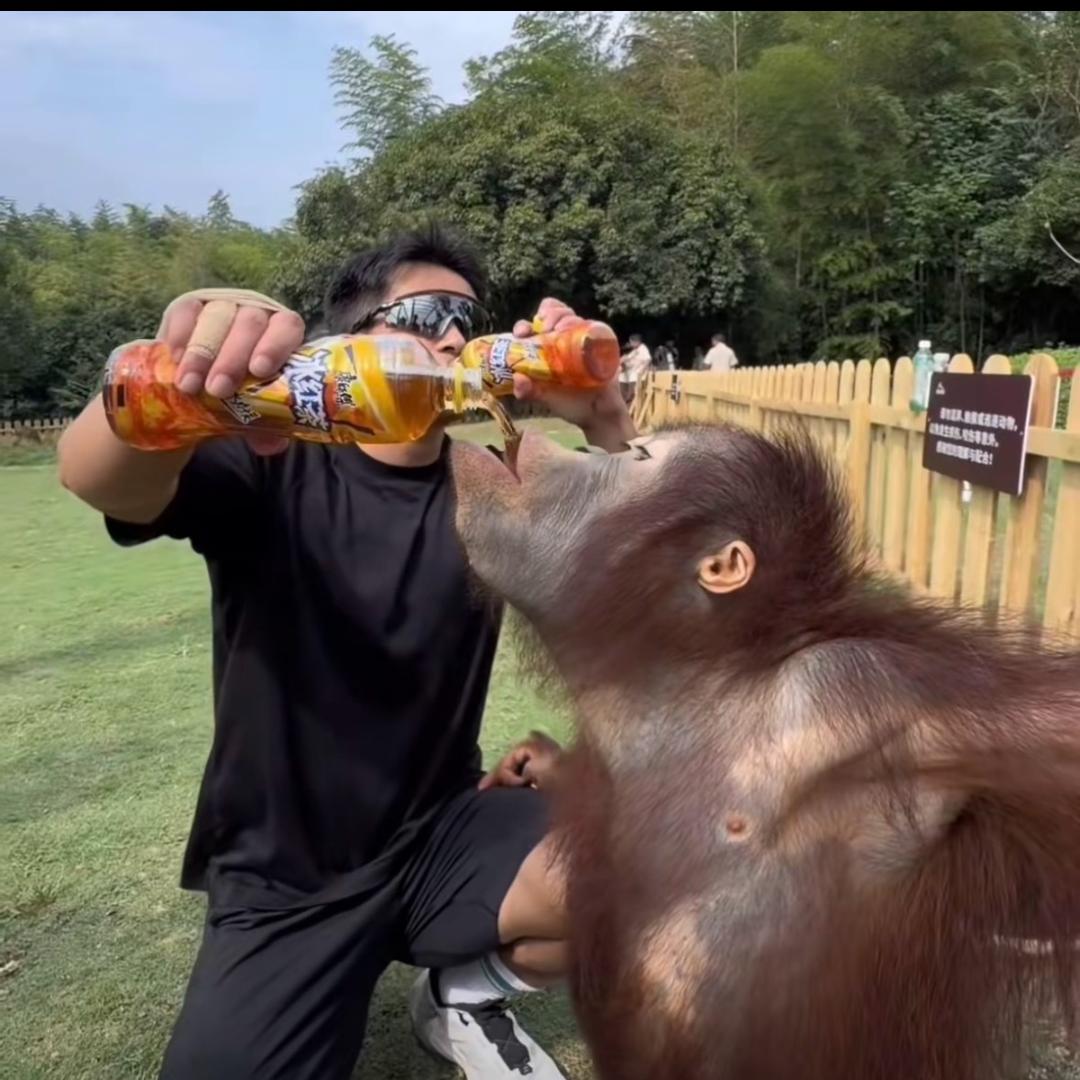 爱喝草莓味酸奶