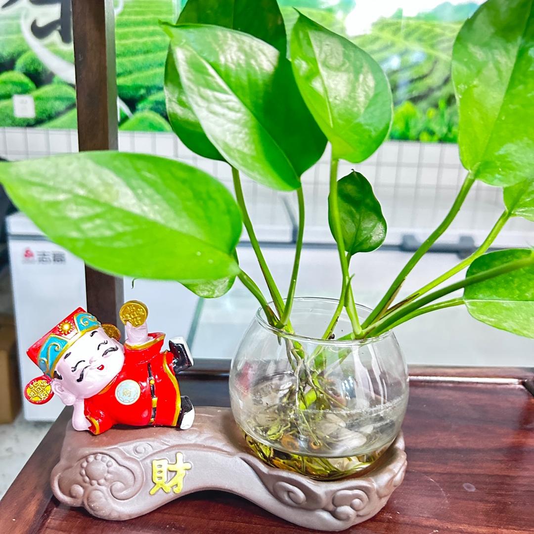 @小天！