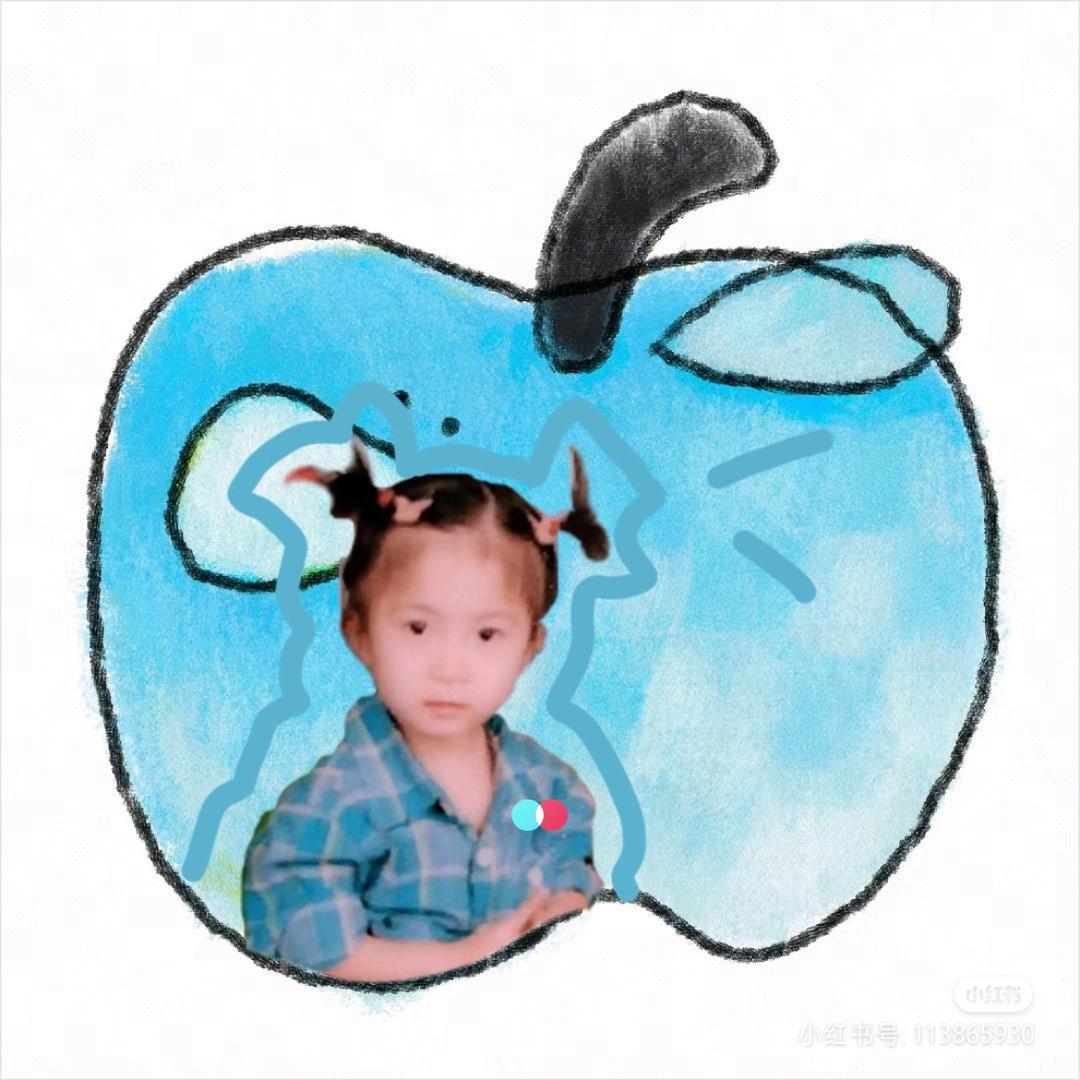 蓝莓壳🫐