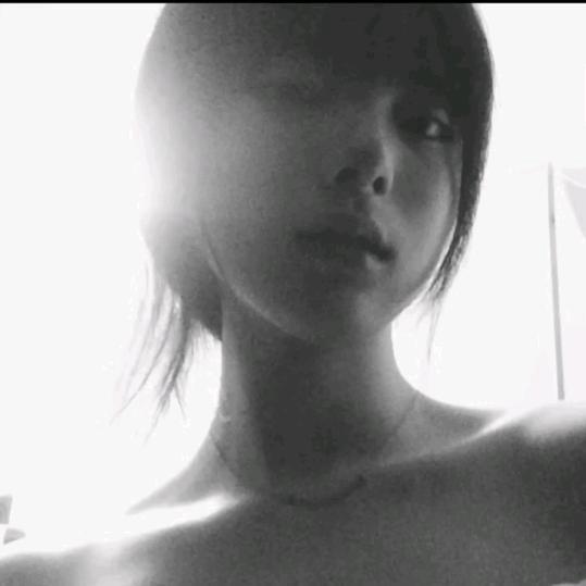 顺顺尼