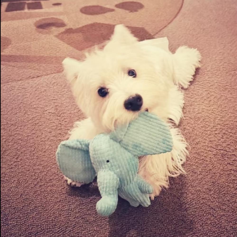 谁捡了我的帽子