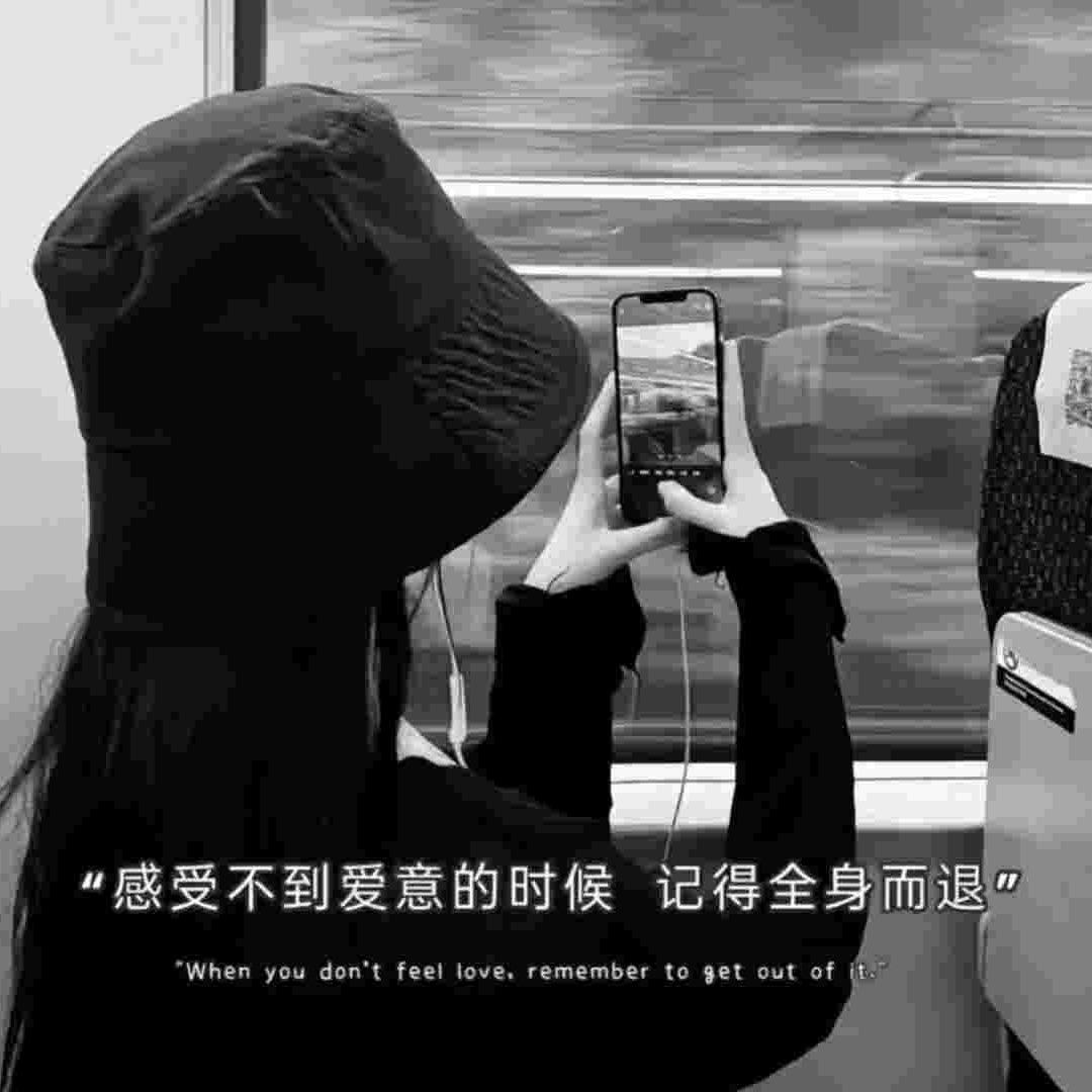 兮兮w