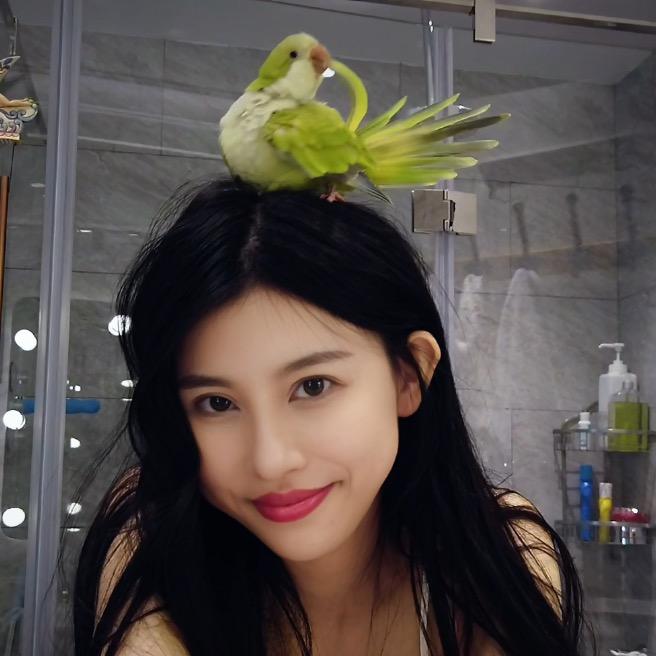 佳琦有只小齐天