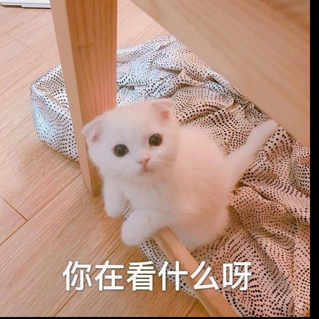 Cc杂货铺