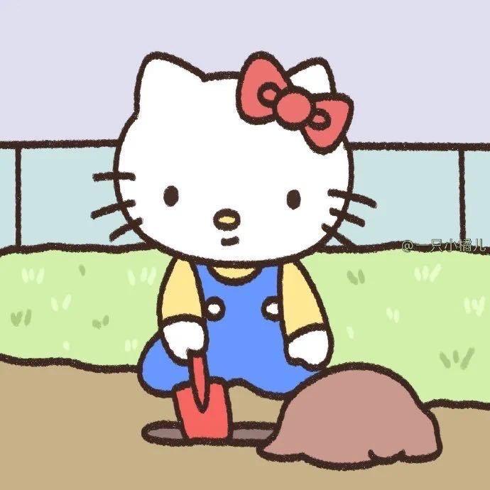 多吃猪肉.