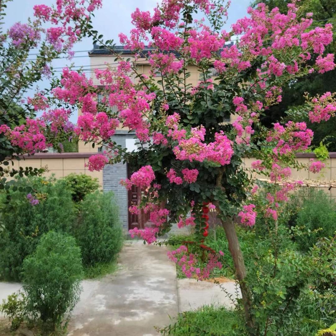 小郭郭