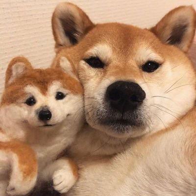 早起大王🫥