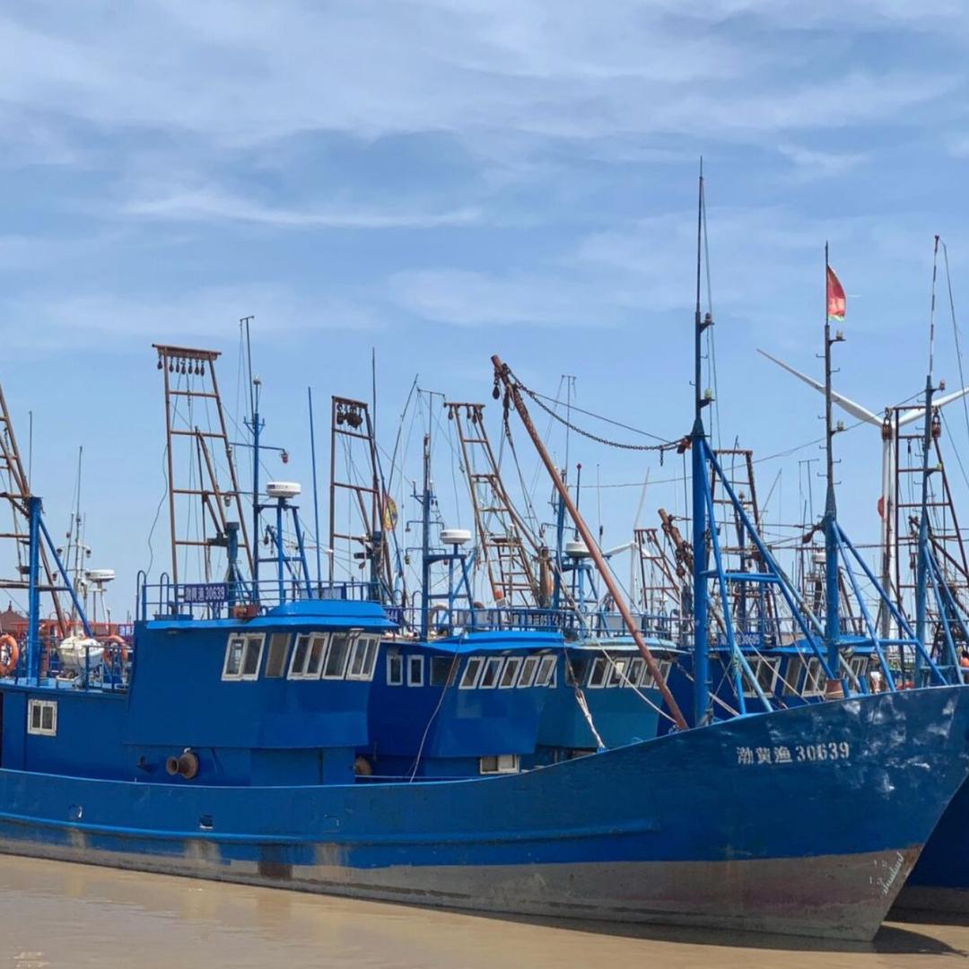 黄骅海鲜货源地直发