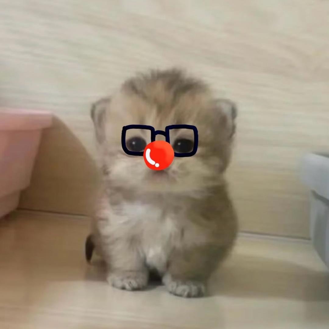 Baby Q