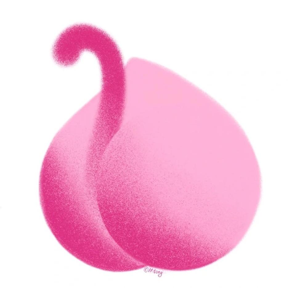 仙桃儿📷（可约拍）