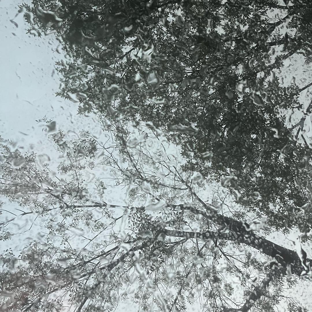 泉水叮咚.
